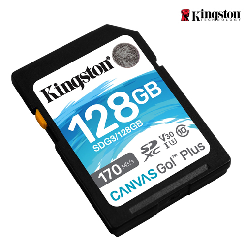 Карта памяти sdxc kingston canvas go plus 128 гб sdg3 128gb