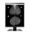 (GX560-BK) EIZO Monitor RadiForce GX560 21.3 INCH IPS MONOCHROME