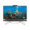 [81H77PA#AKL] AIO “HP” Pro 205 G8 AMDR3-5300U 8GB 256SSD 23.8 W11H