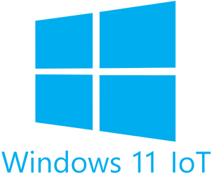 (DG7GMGF0PP45) Windows 11 Enterprise N LTSC 2024 Upgrade