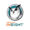 Insight Perpetual License 1Y REG
