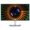 Monitor Dell UltraSharp 24 Monitor-U2424H 1920 x 1080 (SNSU2424H)