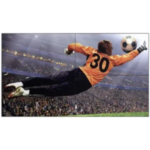 Monitor (จอมอนิเตอร์) LG Interactive (49VL5G-M)