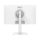 จอมอนิเตอร์ MSI MODERN MD2412PW (IPS 100Hz Speaker USB-C White) [MODERN-MD2412PW]