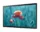 th-smart-signage-qb24r-tb-lh24qbrtfgcxxy-539542540_11zon.webp Samsung 24" Interactive Signage QBR-T-F (LH24QBRTFGCXXY)