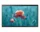 th-smart-signage-qb24r-tb-lh24qbrtfgcxxy-539542553_11zon.webp Samsung 24" Interactive Signage QBR-T-F (LH24QBRTFGCXXY)