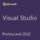 (DG7GMGF0D3SJ) Visual Studio Professional 2022